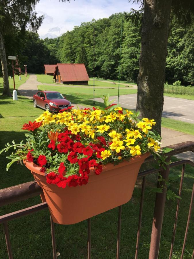 Zaruby Resort Szomolány Kültér fotó
